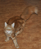 Cleo 07/2012