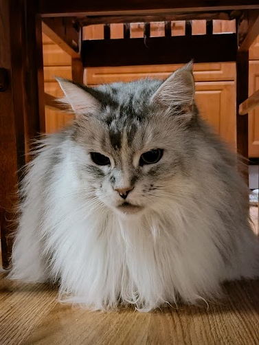Delilah 8.7.2025