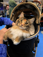 Fazerina URK 19.10.2025