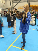 Fazerina URK 19.10.2025