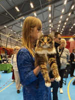 Fazerina URK 19.10.2025