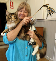 Fazerina yleisön suosikki 26.10.2025