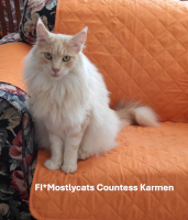 Karmen 08/2025