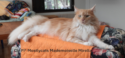 Mirella 08/2025