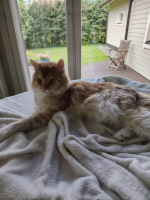 Vincent 07/2025